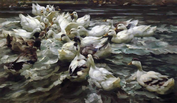Alexander Koester Ducks in a Pond